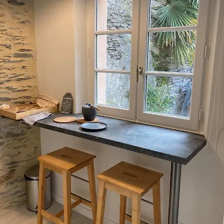 La Maison Du Cocher - Climatise En Hypercentre Apartment Angers