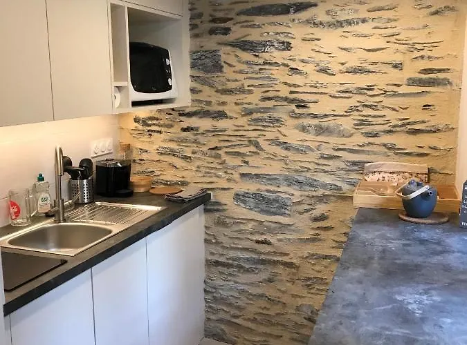 Daire La Maison Du Cocher - Climatise En Hypercentre Angers