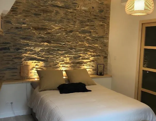 La Maison Du Cocher - Climatisé En Hypercentre